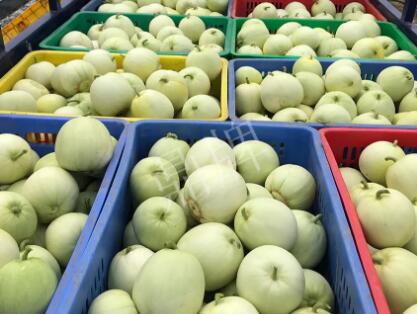 蔬菜種子種植戶(hù)客戶(hù)點(diǎn)評(píng)-5元1斤，這個(gè)新品種真香甜！