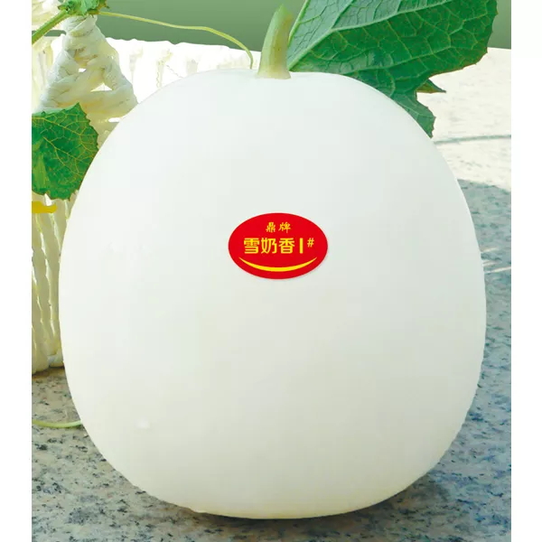 薄皮甜瓜，哪個(gè)品種最好呢？畝產(chǎn)高達(dá)10萬(wàn)，附4種市場(chǎng)爆款品種
