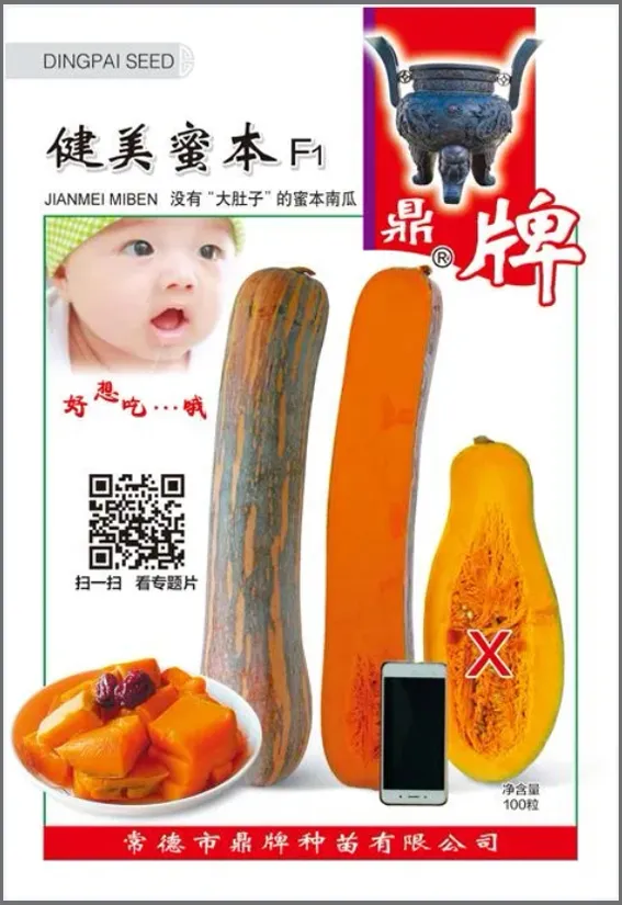 3元1斤的健美蜜本南瓜快成熟了，緬甸種植戶發(fā)來(lái)圖片與視頻