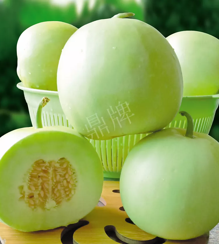 7元一斤還遭瘋搶?zhuān)€收益超2萬(wàn)元！到底什么甜瓜能這么牛？