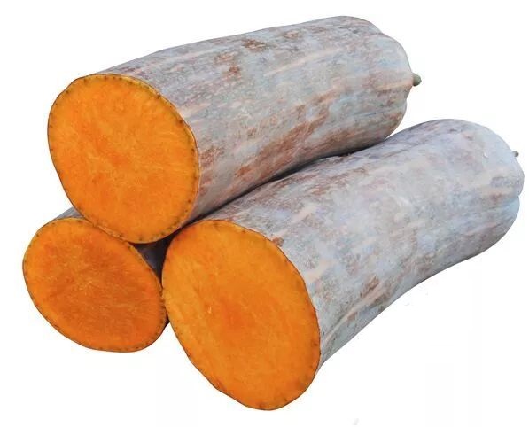 生吃都好吃南瓜新品種，沒有大肚子，肉質(zhì)更密致，農(nóng)戶試種下