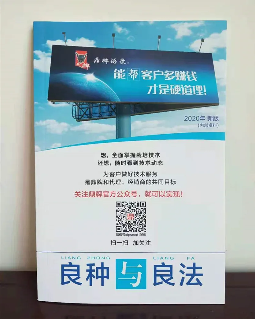 河南焦作的李向林今年種植甜瓜新品種，客戶直接拉貨走人