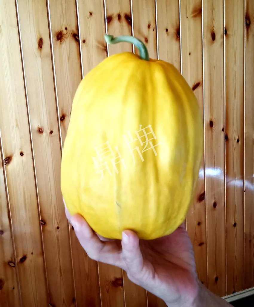 婁底瓜農(nóng)純賺50萬，我這個(gè)“張大膽”榮光了一把