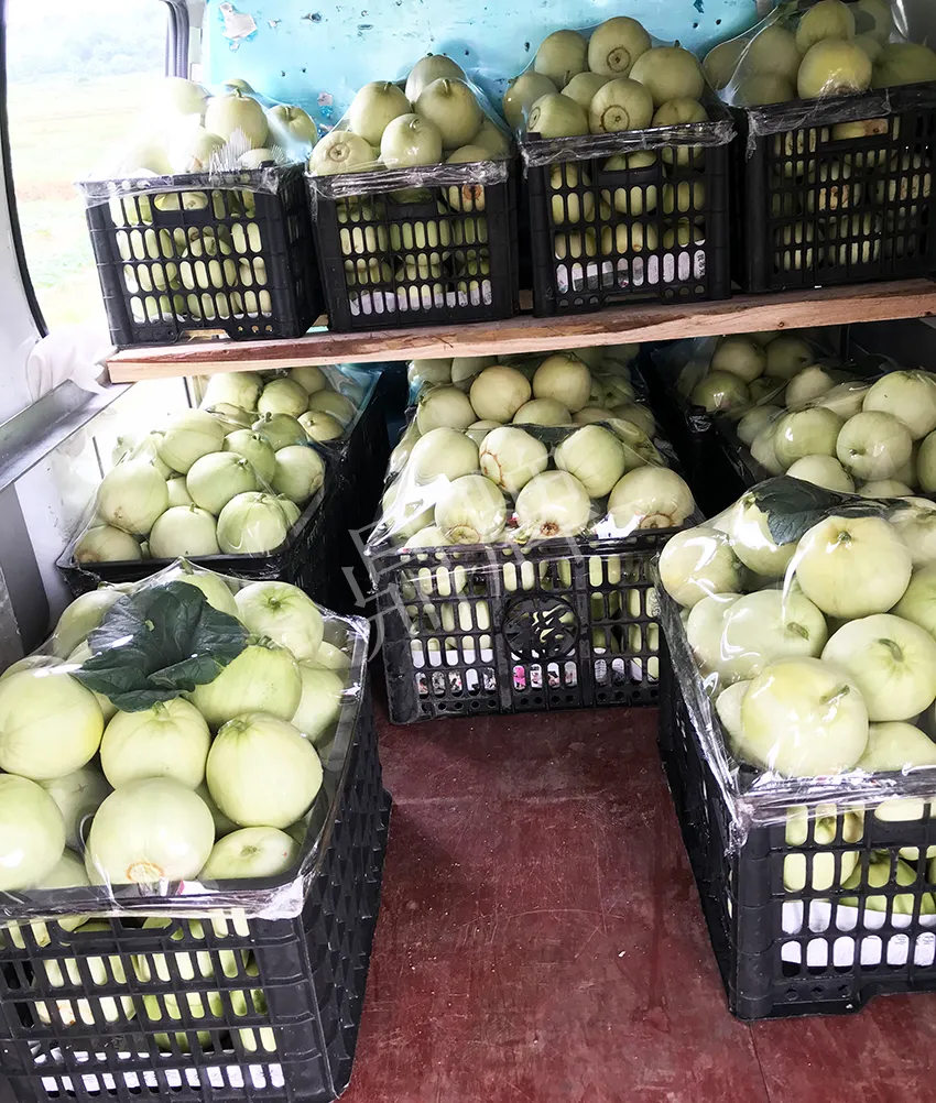 郴州農(nóng)戶種植新品種，果實(shí)又香又甜，很好賣