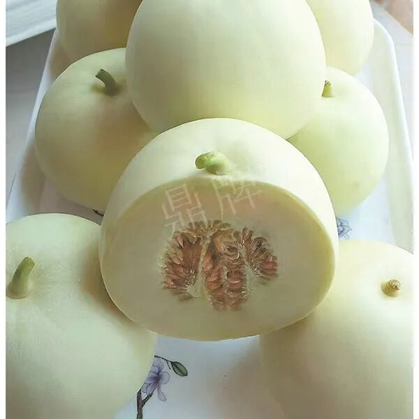 蔬菜種子種植戶(hù)種植心得-這個(gè)品種幫我留一些，4月份我們當(dāng)?shù)剡€要種一批