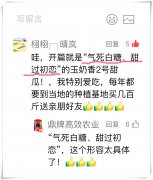 蔬菜種子種植戶客戶點評-“氣死白糖，甜過初戀”，您知道或體驗過這句話嗎